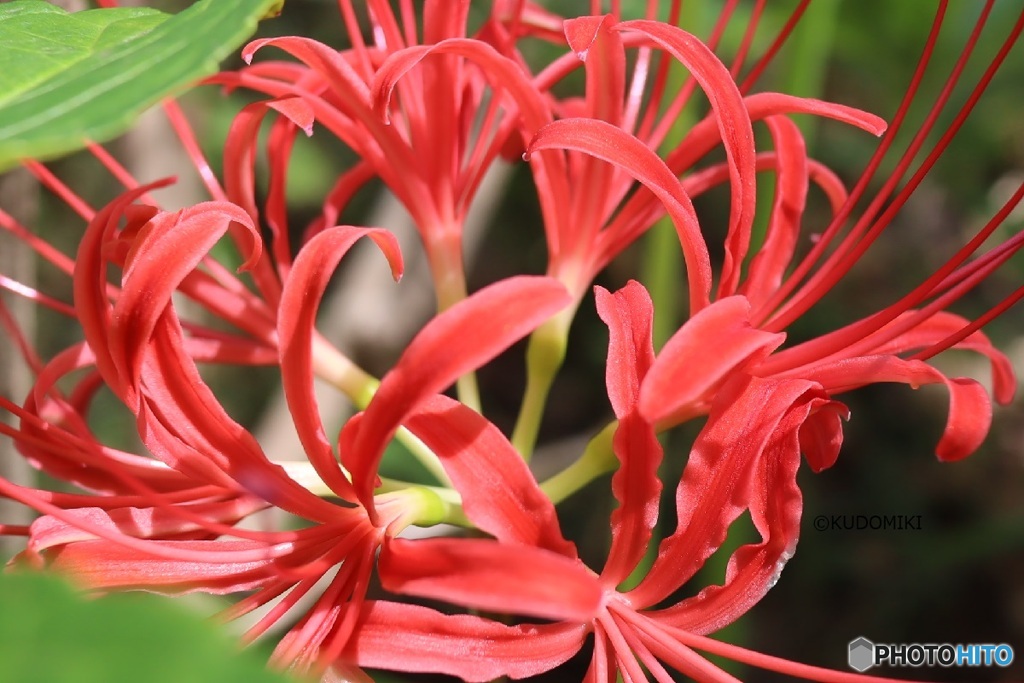 隠れたところに