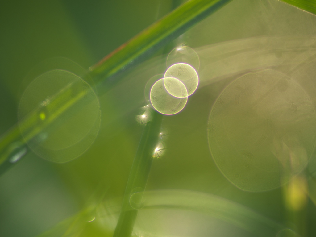 4つの海の間奏曲　日曜の朝