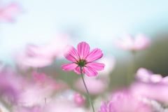 F15778A3-87B1-427D-BEB6-9DFEC25365CF