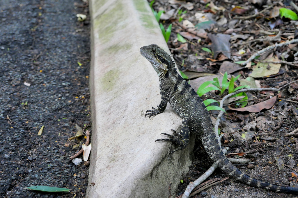 Brisbane