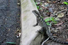 Brisbane