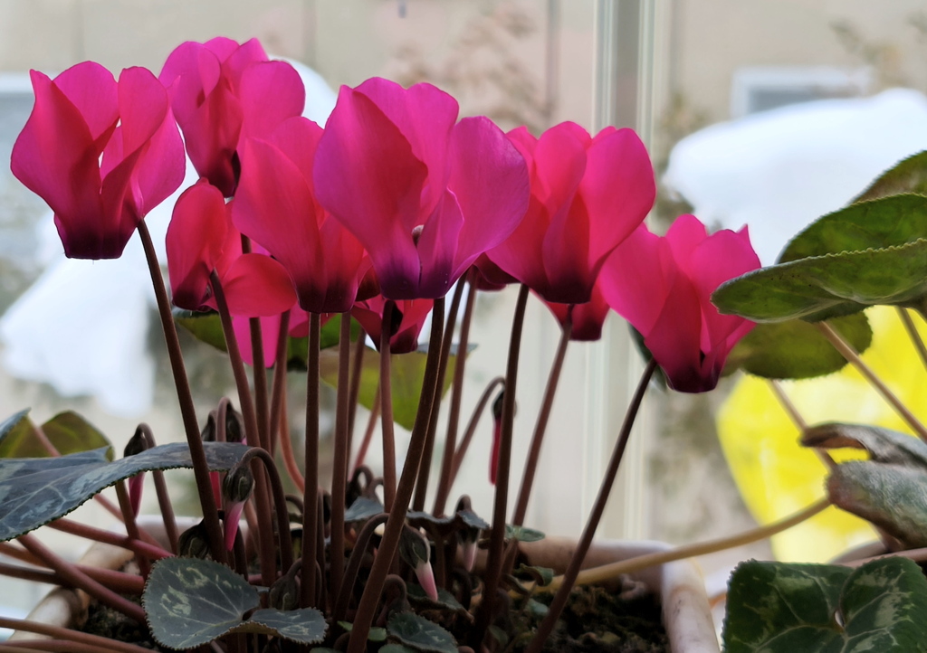 Table Photo #Xiaomi 14T
