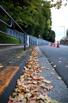 2022/11/05 街中スナップ