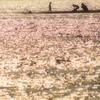 水遊び。