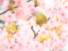 ご満悦。
