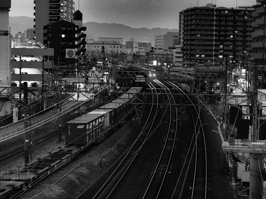 行き交う。