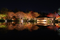 昭和記念公園 日本庭園