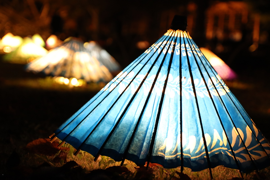 昭和記念公園 日本庭園 傘