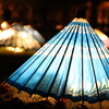 昭和記念公園 日本庭園 傘