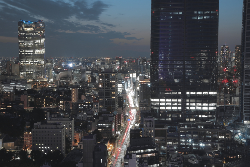東京タワー 展望台 夜景