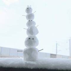 雪だるまだるまだるま