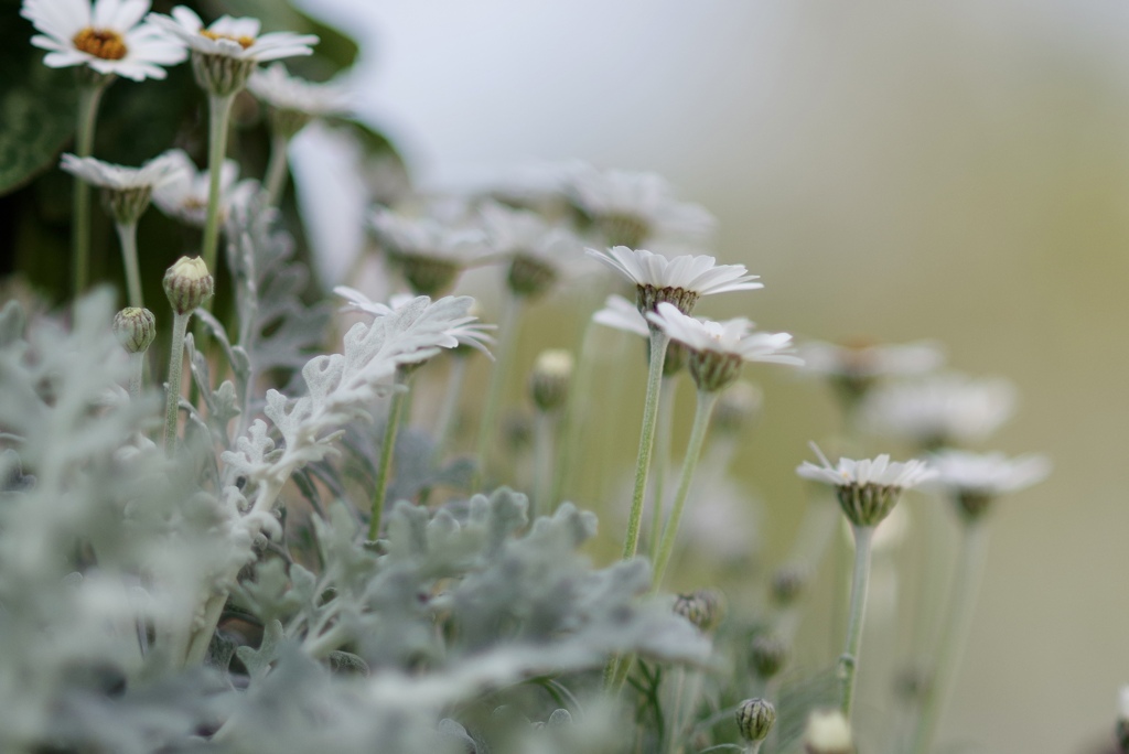 fragile