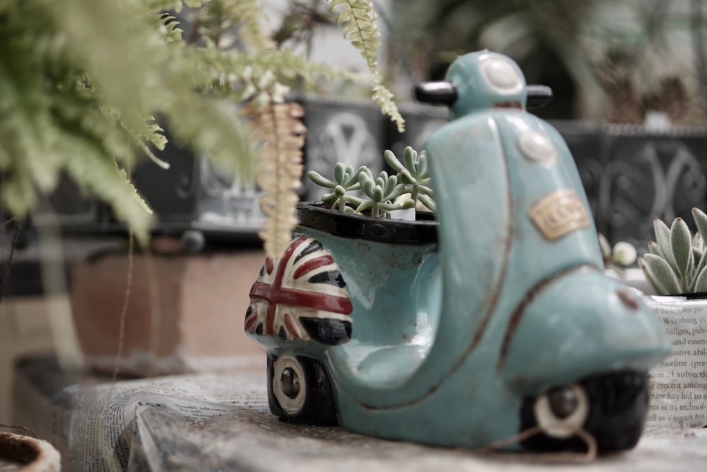 多肉スクーター