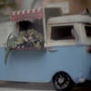 flower bus