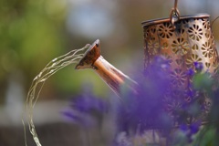 水やりな風景