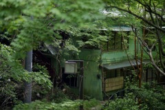 ほぼ緑 ほぼ緑
