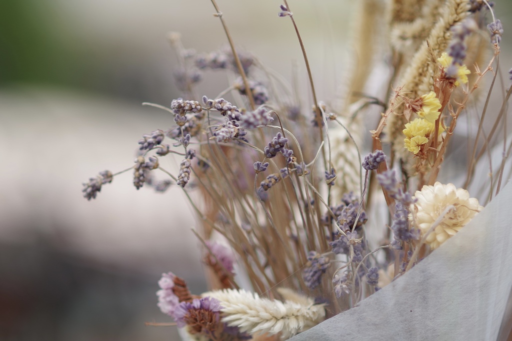 dry flower