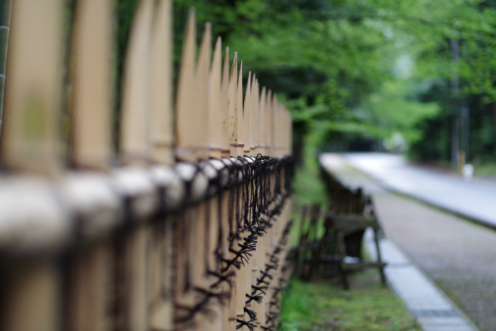 柵と道