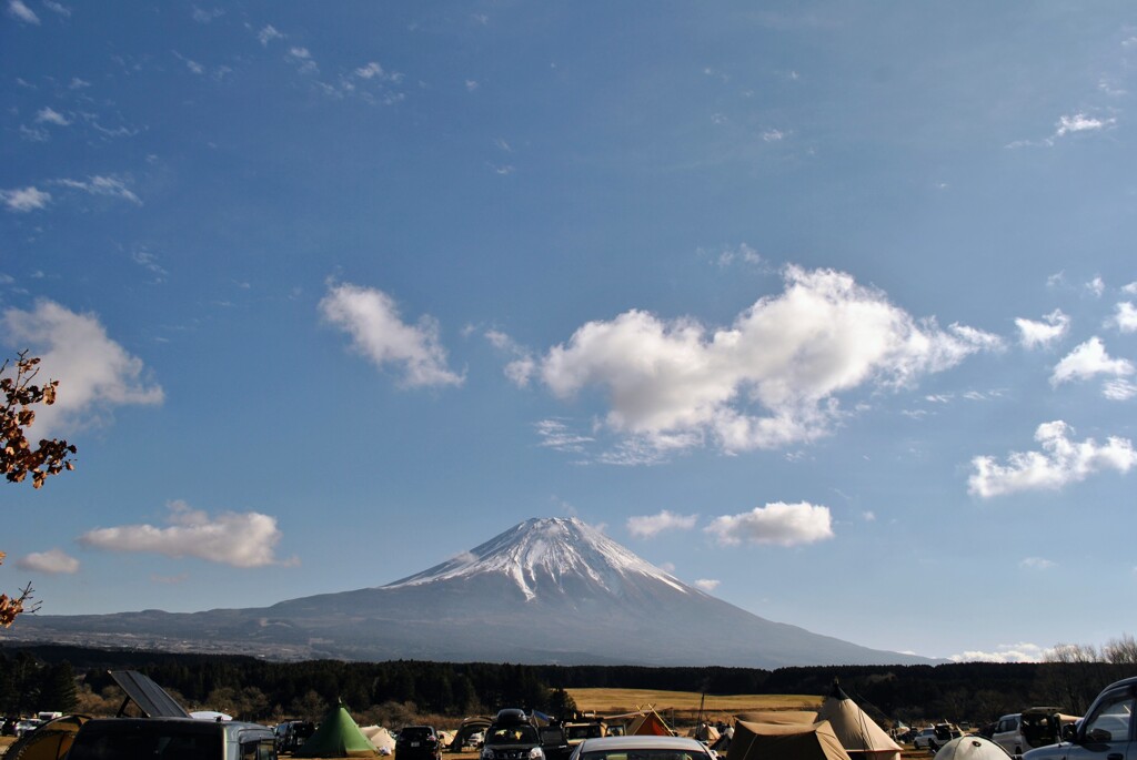 明日も晴れるね