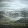 Morning Mist