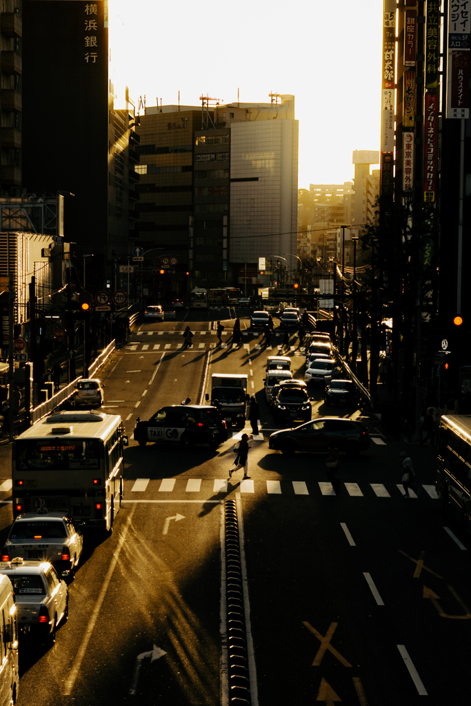 Sunset Crosswalk
