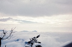 雲海