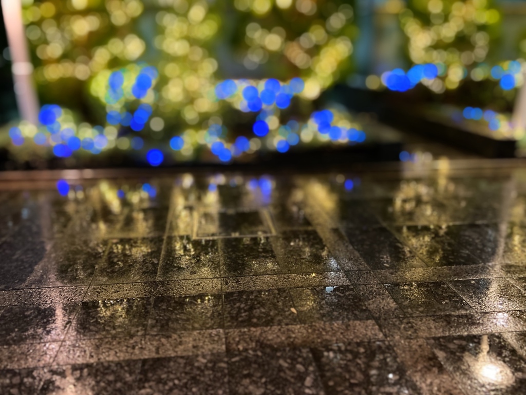 雨