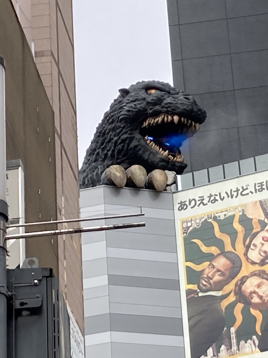 ゴジラが！