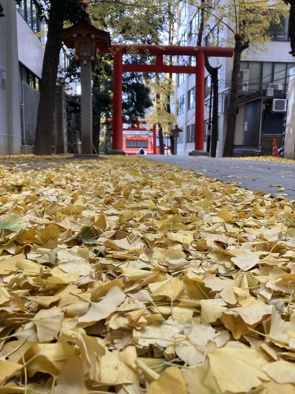 花園神社