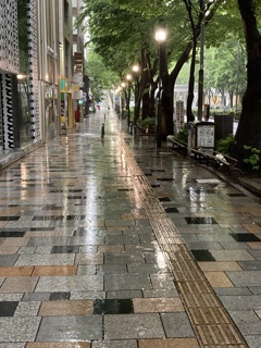 雨の表参道１