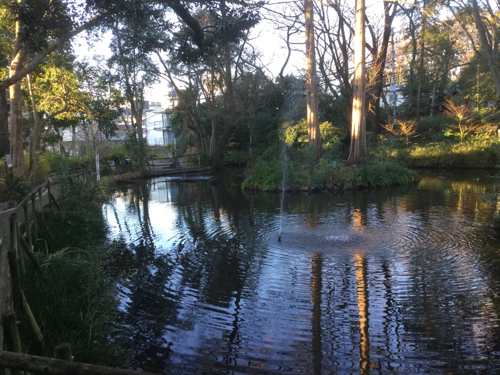 おとめ山公園
