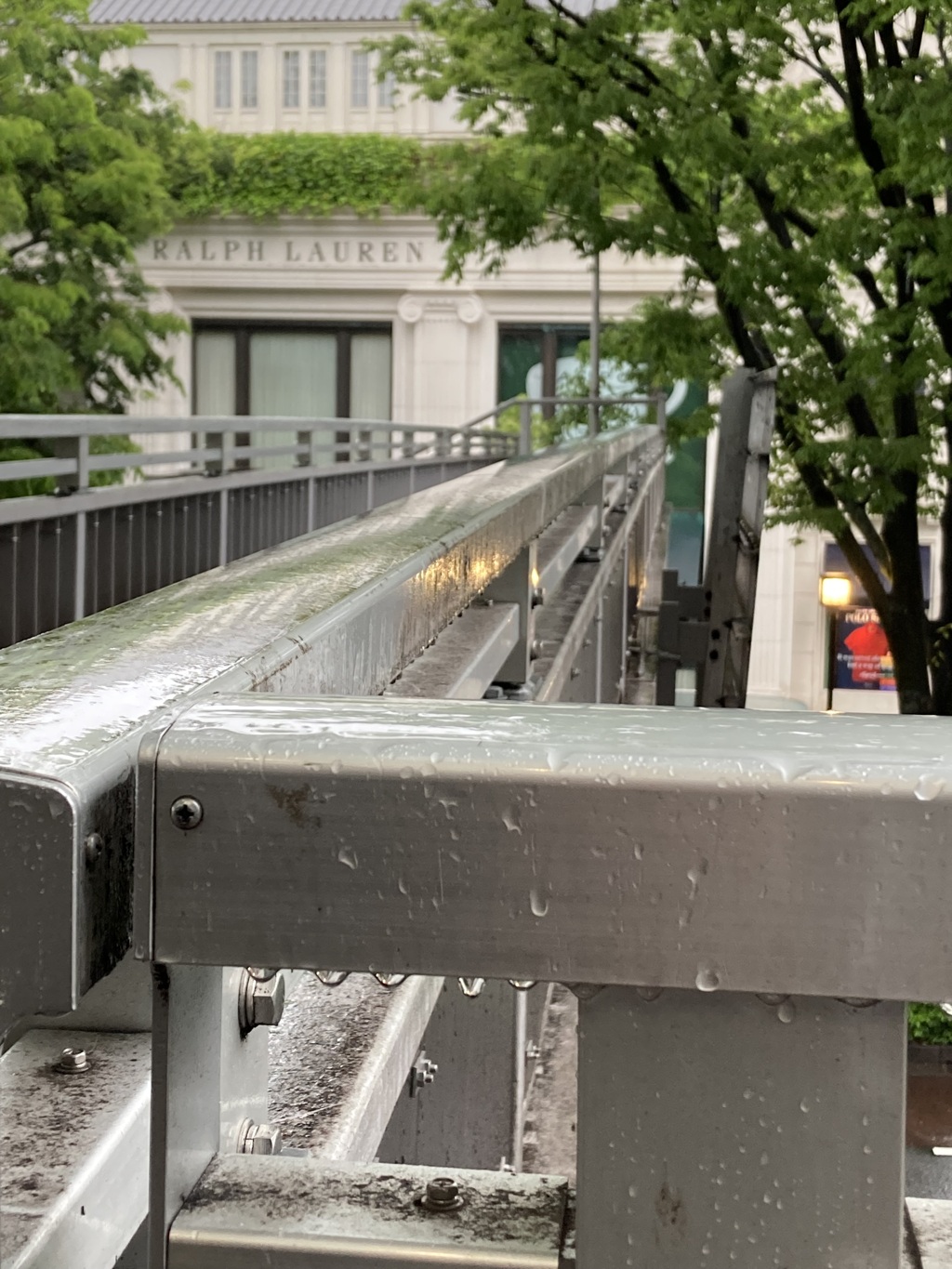 雨の表参道２