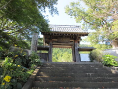 徳願寺