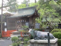 天神様