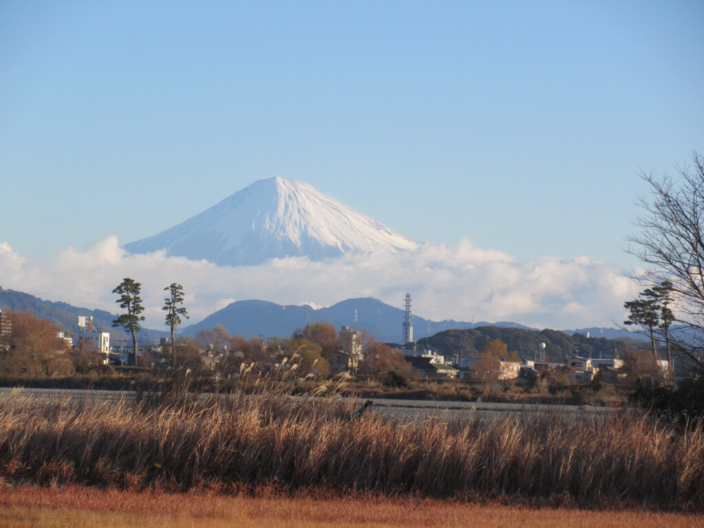 今朝の富士