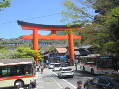 鳥居を潜る