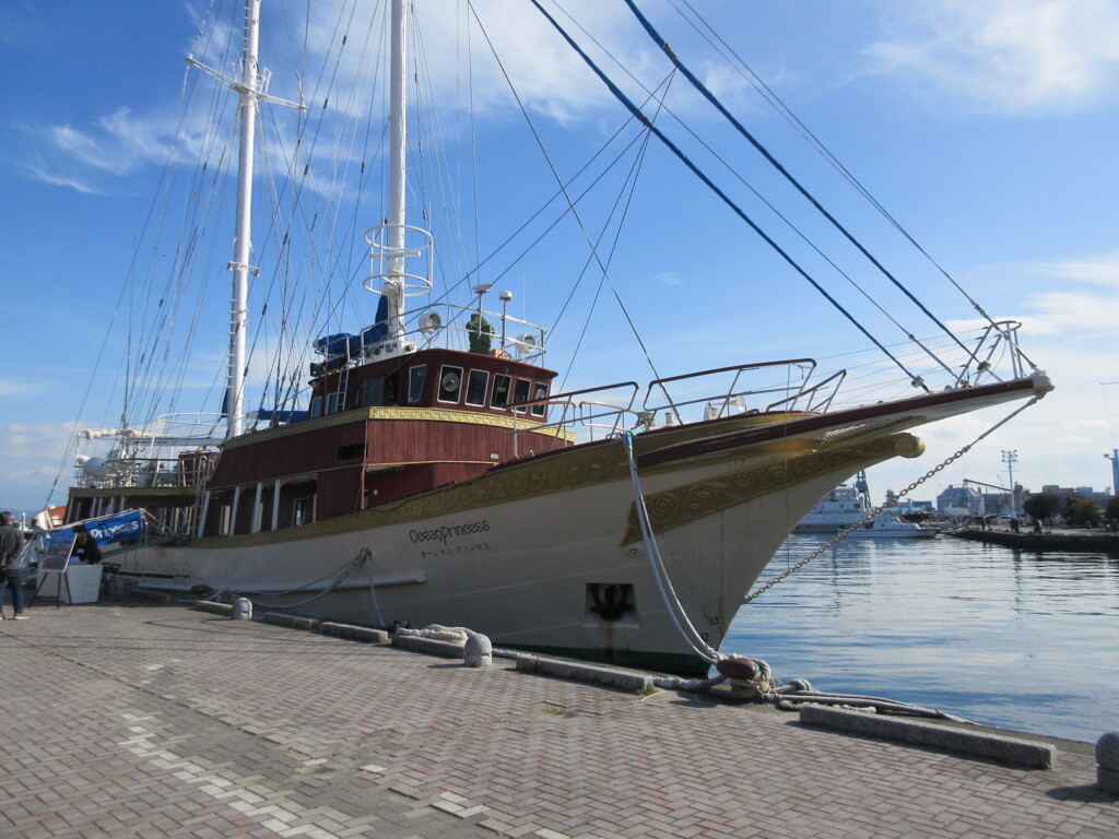 オーシャンプリンセス号