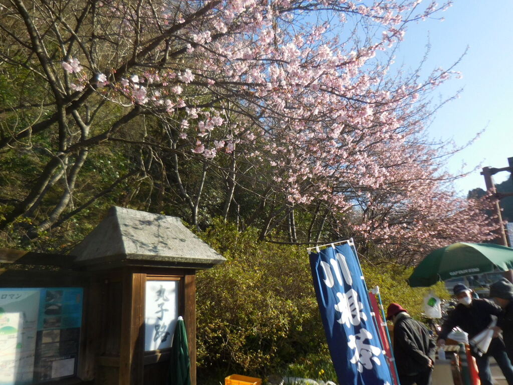 丸子路