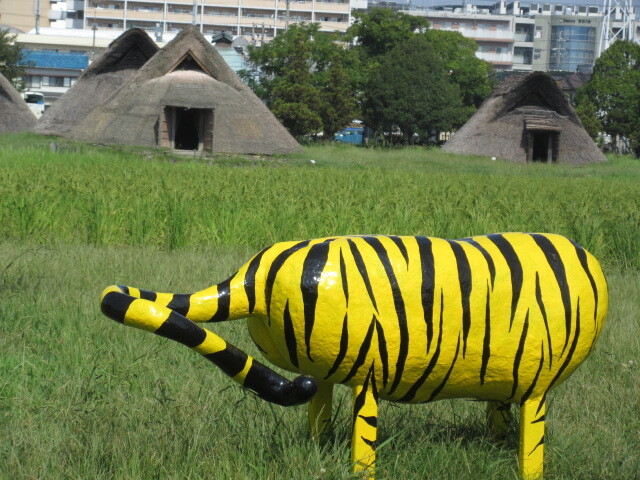 遺跡でzoo