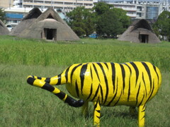 遺跡でzoo