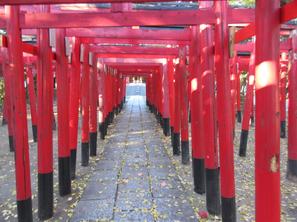 赤い鳥居