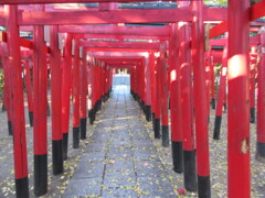 赤い鳥居
