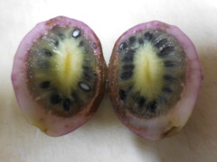 切ってみました　