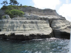 縞模様
