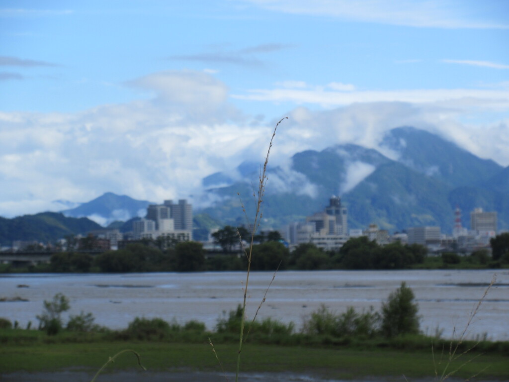 久しぶりの青空