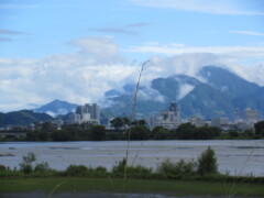 久しぶりの青空