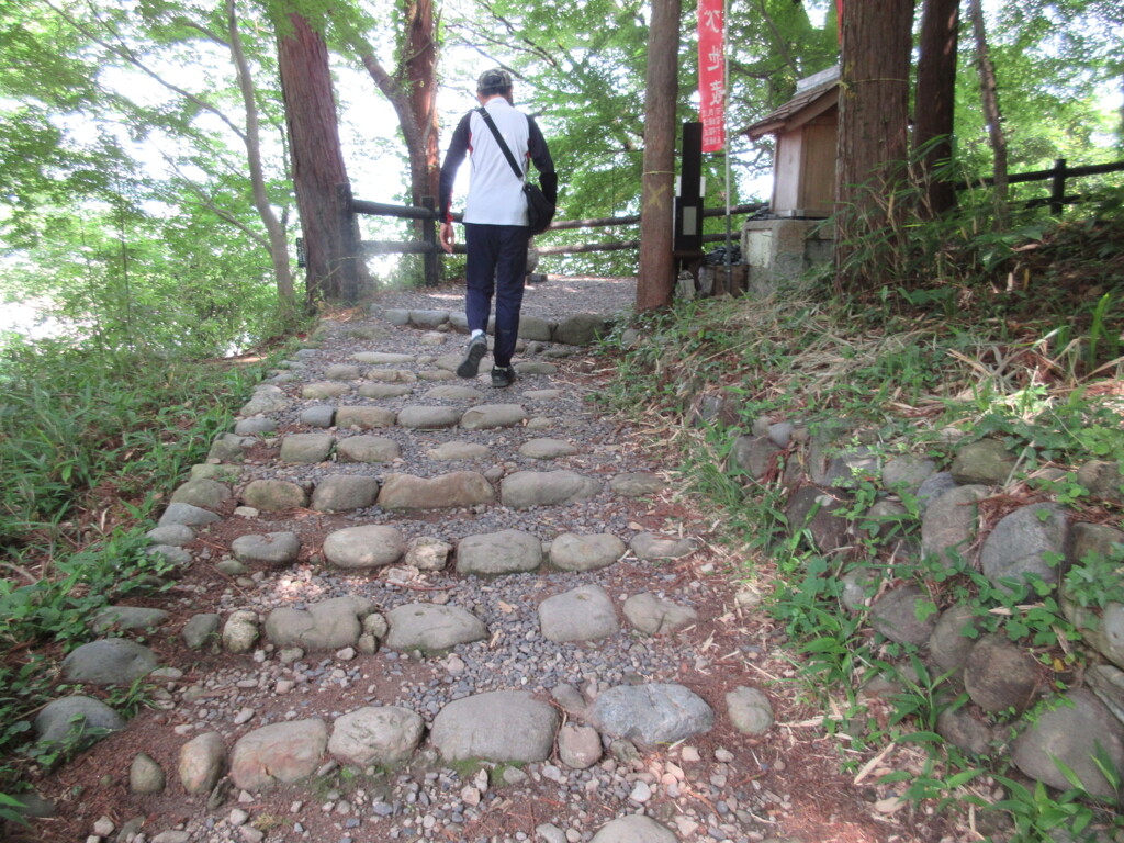 山道を行く