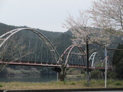 橋を眺める