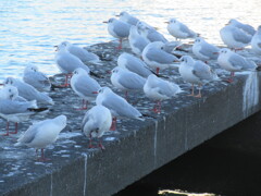 一休み