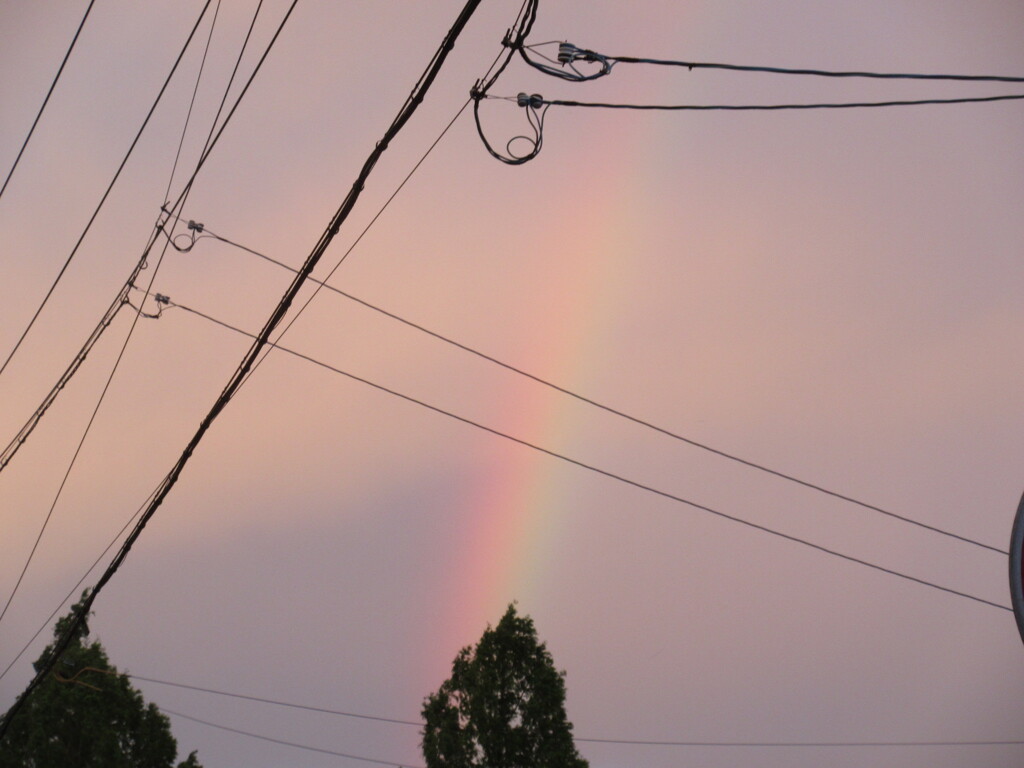 雨上がり